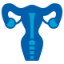 icons8-uterus-80